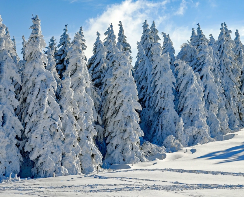 winter schwarzwald 845x684 - Silvester im Schwarzwald