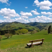 Frühling Schwarzwald 180x180 - Wanderlust - Wandern in Wutachschlucht und Schwarzwald