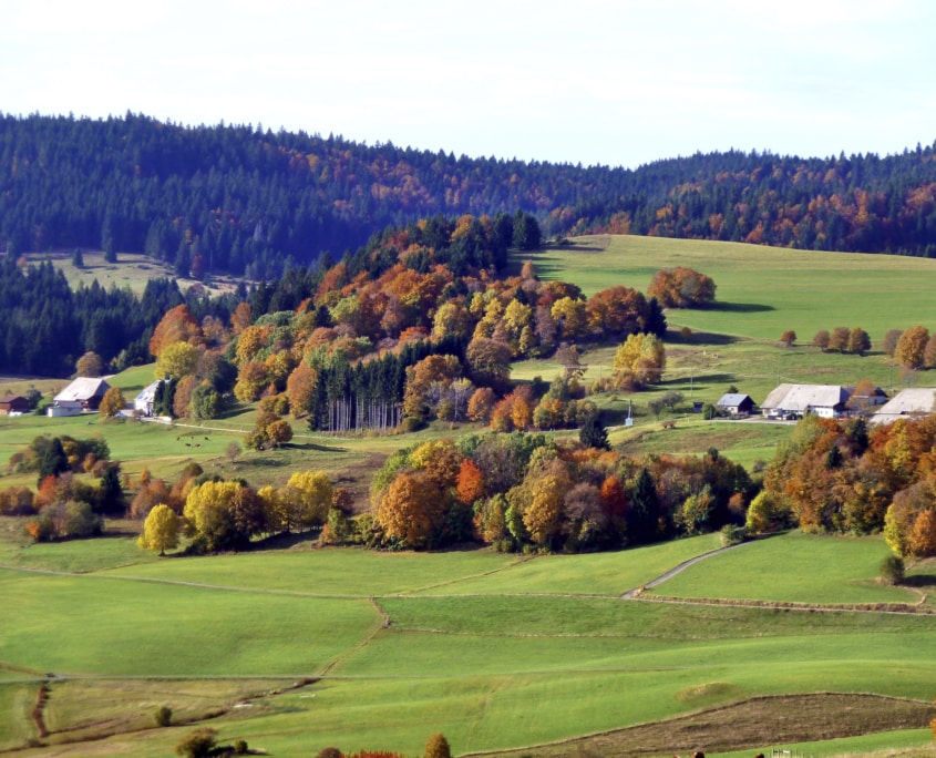schoener schwarzwald.jpg 845x684 - Herbst im Schwarzwald