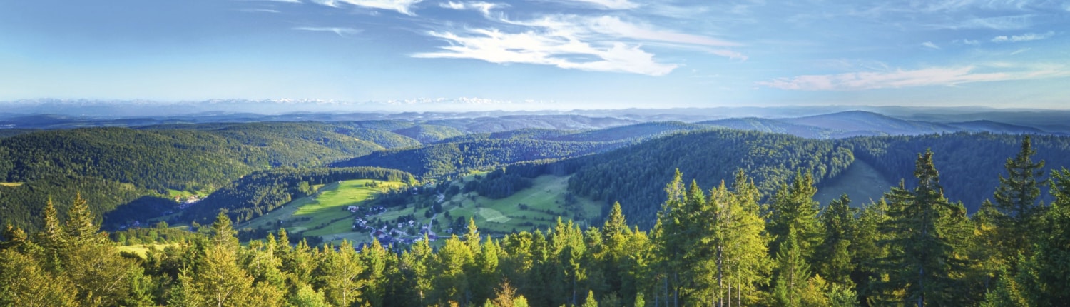 view from hochkopfturm 1500x430 - Wellness im Schwarzwald - Hotel Lindenhof