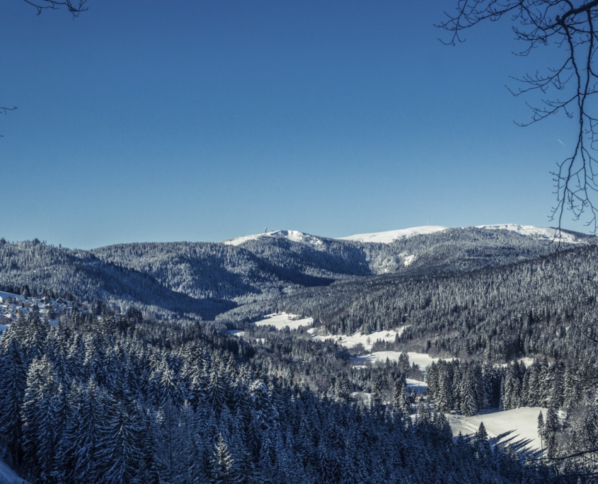 winterscenery 845x684 - Winter im Schwarzwald - Hotel Lindenhof Donaueschingen