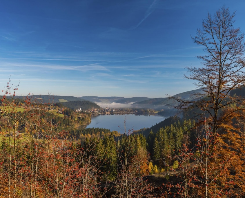 Blick auf den Titisee High Res 15946 845x684 - Herbst im Schwarzwald
